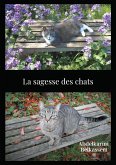 La sagesse des chats