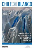 Chile en el blanco (eBook, ePUB)