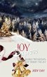 Joy Express (eBook, ePUB) - Bild 1