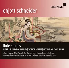 Flute Stories - Dlugosz/Blaszczyk/Silesian Philharmonic So