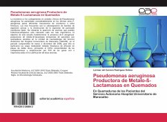 Pseudomonas aeruginosa Productora de Metalo-ß-Lactamasas en Quemados - Rodriguez Delima, Lorimar del Carmen