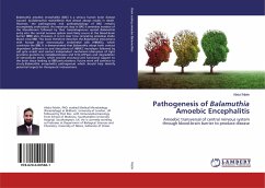 Pathogenesis of Balamuthia Amoebic Encephalitis