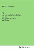 Die Verwantschaftsverhältnisse der indogermanischen Sprachen