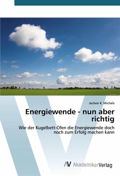 Energiewende - nun aber richtig - Michels, Jochen K.