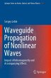 Waveguide Propagation of Nonlinear Waves - Bild 1