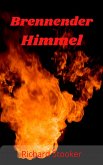 Brennender Himmel (eBook, ePUB)
