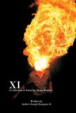 XI (eBook, ePUB) XI (eBook, ePUB)