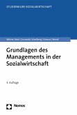 Grundlagen des Managements in der Sozialwirtschaft (eBook, PDF)
