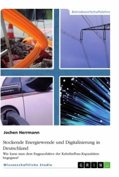 Stockende Energiewende und Digitalisierung in Deutschland - Herrmann, Jochen