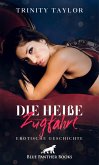 Die heiße Zugfahrt   Erotische Geschichte (eBook, PDF)