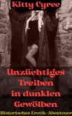 Unzüchtiges Treiben in dunklen Gewölben (eBook, ePUB)