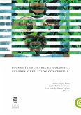 Economía solidaria en Colombia: autores y reflexión conceptual (eBook, ePUB)