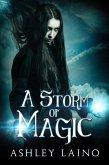 A Storm of Magic (eBook, ePUB)