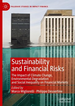 Sustainability and Financial Risks