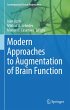 Modern Approaches to Augmentation of... - Bild 1