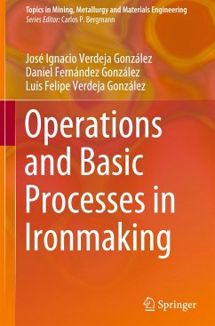 Operations and Basic Processes in Ironmaking - Verdeja González, José Ignacio;Fernández González, Daniel;Verdeja González, Luis Felipe