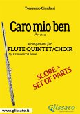 Caro mio ben - Flute quintet/choir score & parts (fixed-layout eBook, ePUB)