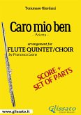 Flute Quintet / choir &quote;Caro mio ben&quote; score & parts (fixed-layout eBook, ePUB)