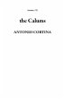 The Calums (eBook, ePUB) - Bild 1