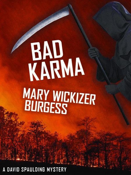 Bad Karma (eBook, ePUB)