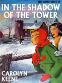 In the Shadow of the Tower (eBook, ePUB)