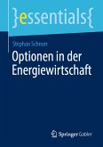 Optionen in der Energiewirtschaft (eBook, PDF)