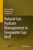 Natural Gas Hydrate Management in Deepwater Gas Well (eBook, PDF)