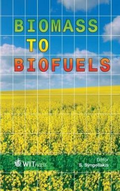 Biomass to Biofuels