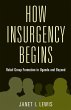 How Insurgency Begins - Bild 1