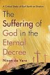 The Suffering of God in the Eternal... - Bild 1