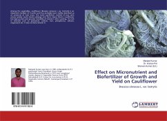 Effect on Micronutrient and Biofertilizer of Growth and Yield on Cauliflower