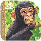 Chimpanzee Chimpanzee