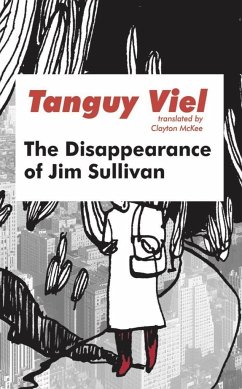 The Disappearance of Jim Sullivan - Viel, Tanguy; Viel, Tanguy