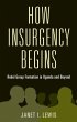 How Insurgency Begins - Bild 1