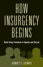 How Insurgency Begins - Lewis, Janet I