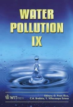 Water Pollution IX - Rico, D Prats