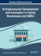 Entrepreneurial Development and... - Bild 1