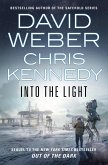 Into the Light (eBook, ePUB)