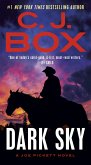 Dark Sky (eBook, ePUB)