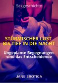 Sexgeschichte: Stürmischer Lust bis tief in die Nacht (eBook, ePUB)