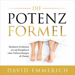 Die PotenzFormel (MP3-Download) - Emmerich, David