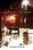 Lights In The Rain (eBook, ePUB)