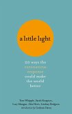 A Little Light (eBook, ePUB)