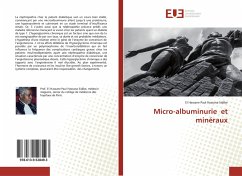 Micro-albuminurie et minéraux - Sidibe, El Hassane Paul Hassana