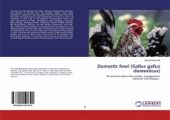 Domestic fowl (Gallus gallus domesticus)