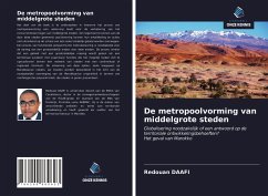 De metropoolvorming van middelgrote steden - Daafi, Redouan