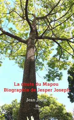 La chute du Mapou (eBook, ePUB) - Joslin, Jean