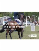 ECG Interpretation in Equine Practice (eBook, ePUB)
