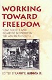 Working Toward Freedom: Slave Society and Domestic Economy in the American South