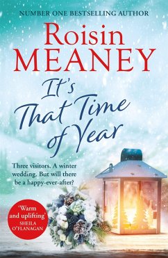It's That Time of Year (eBook, ePUB) - Meaney, Roisin